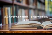 北京大学数学系考研复试，学科数学考研复试内容？