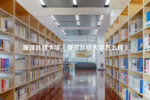 康涅狄格大学（康涅狄格大学怎么样）