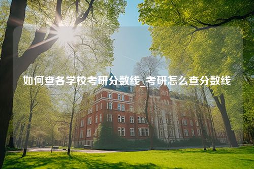 如何查各学校考研分数线_考研怎么查分数线