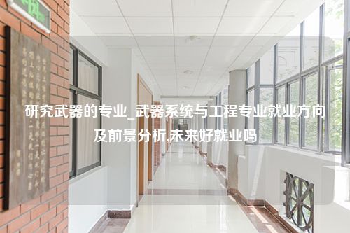 研究武器的专业_武器系统与工程专业就业方向及前景分析,未来好就业吗