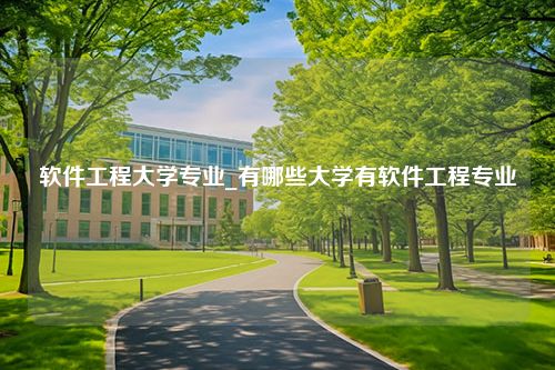 软件工程大学专业_有哪些大学有软件工程专业