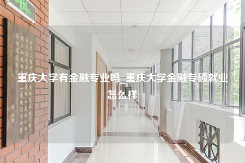 重庆大学有金融专业吗_重庆大学金融专硕就业怎么样