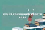 武汉大学电子信息学院考研调剂_电子信息工程考研学校